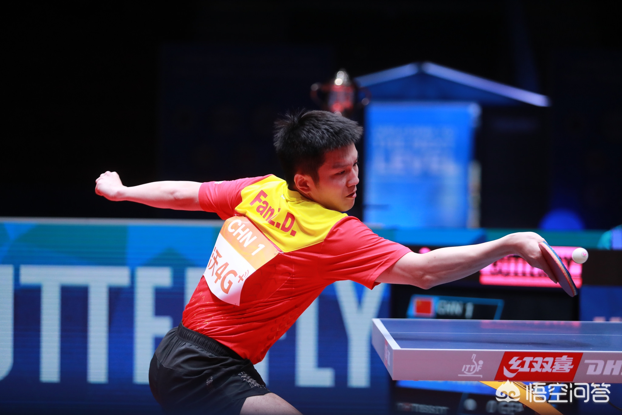 乒乓球界的 乒乓球界的